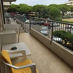 Zeta - Walterigato Solo Per Famiglie *