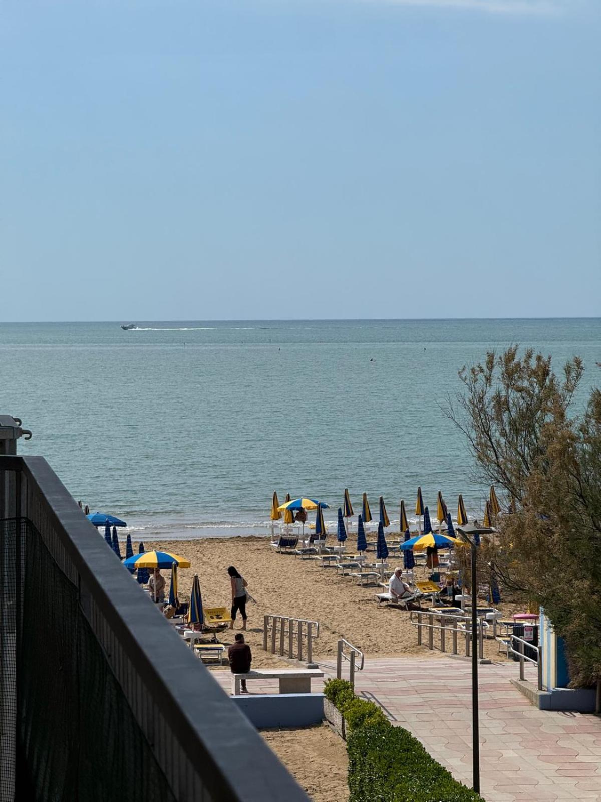 Zeta - Walterigato Solo Per Famiglie * Lido di Jesolo